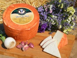 Queso semicurado de vaca